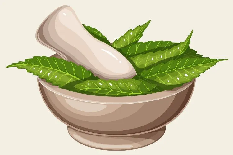 Part 2: The Green Glow-Up 鈥�How India Supports Ayurvedic Beauty