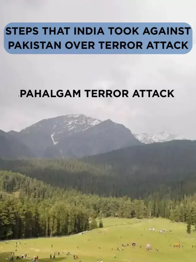 Steps that INDIA took over terror attack
